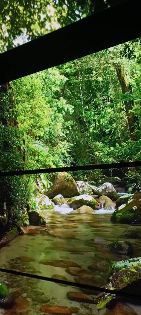 f:id:gracedusoleil2525:20250804145355j:image