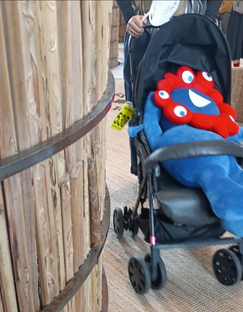 f:id:gracedusoleil2525:20250826155956j:image