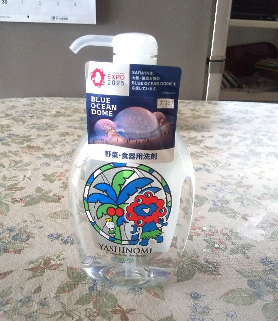 f:id:gracedusoleil2525:20250909095007j:image