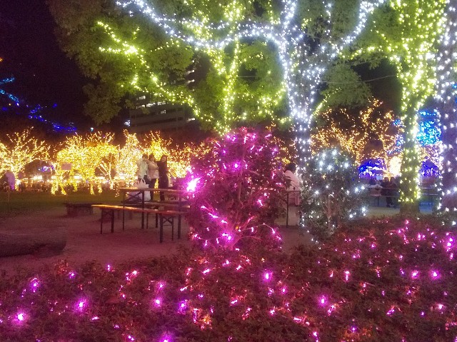 f:id:gracedusoleil2525:20251211222524j:image