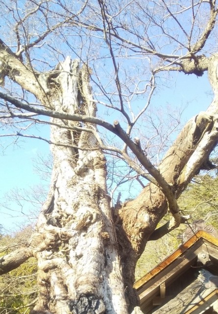 f:id:gracedusoleil2525:20251212184348j:image