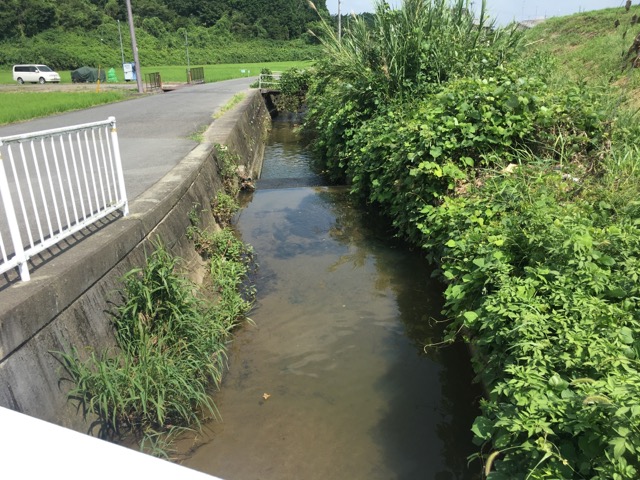 f:id:graduateblack2:20190826134649j:plain f:id:graduateblack2:20190826134649j:plain