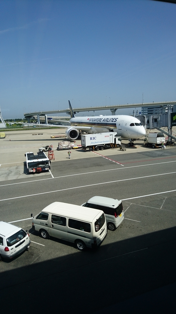 シンガポール航空 B787-10 ビジネスクラス SQ619 SQ618