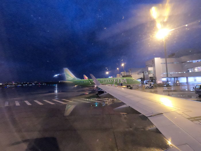 JAL3684便 景色