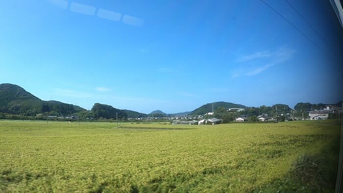 JR九州 787系 特急みどり DXグリーン車 乗車記