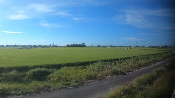 JR九州 787系 特急みどり DXグリーン車 乗車記