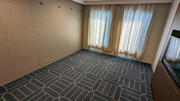 宇和島運輸フェリー　あかつき丸　1等客室