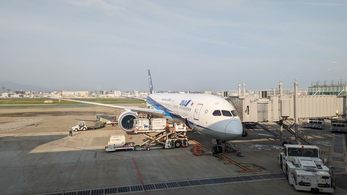 ANA ANA242便 B787
