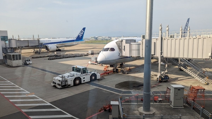 ANA ANA242便 B787