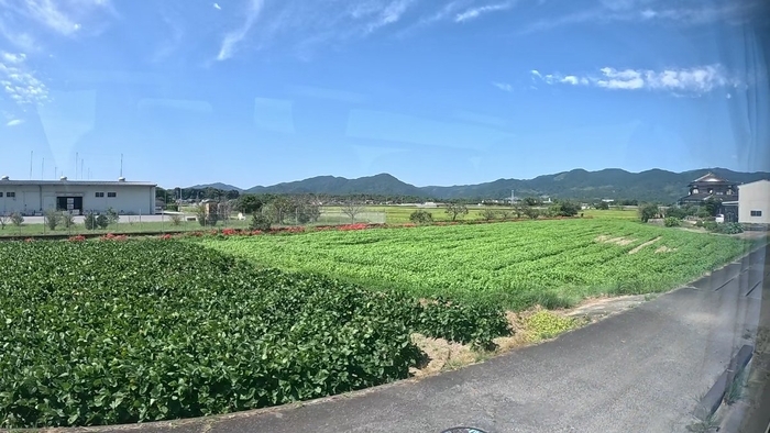 西鉄バス 福岡空港~佐賀線 乗車記 佐賀第二合同庁舎⇒福岡空港国内線北