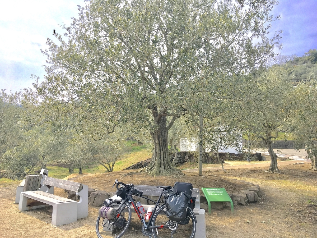 f:id:grailman:20190315095346j:plain