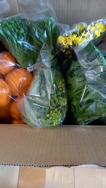 f:id:grandrevue:20210211223046j:image