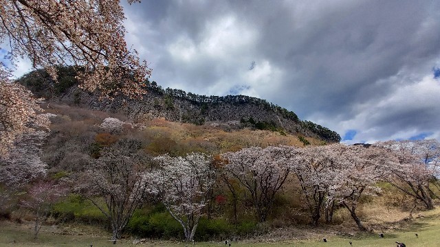 f:id:grandrevue:20210413122638j:image