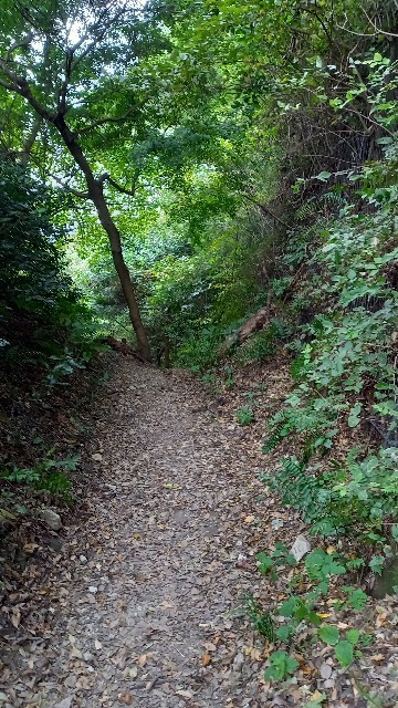 f:id:grandrevue:20221102151336j:image