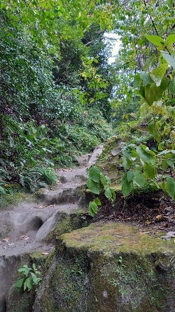 f:id:grandrevue:20221102153205j:image