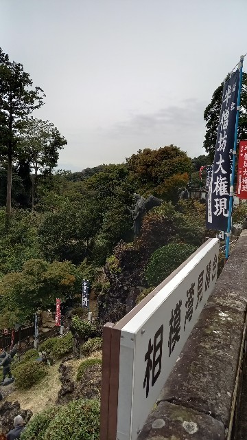 f:id:grandrevue:20221104130657j:image