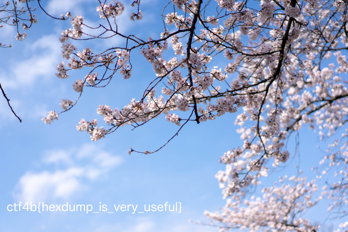 f:id:graneed:20190526151250p:plain f:id:graneed:20190526151250p:plain