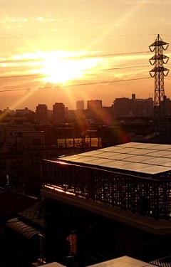 f:id:grapemai:20130806181854j:image f:id:grapemai:20130806181854j:image