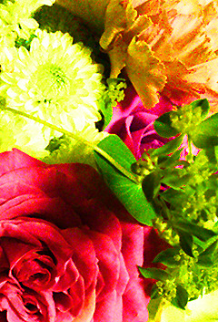 f:id:grapemai:20140210220849j:image f:id:grapemai:20140210220849j:image