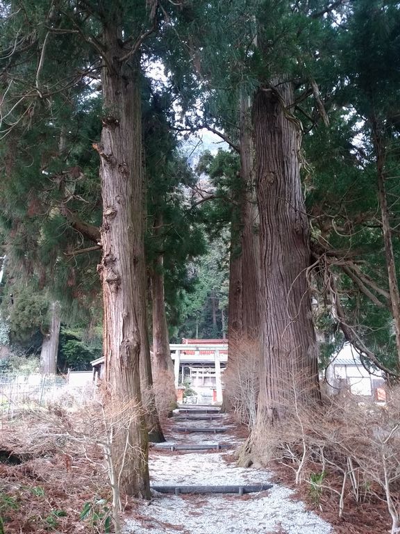 f:id:grapetown:20170219220947j:plain f:id:grapetown:20170219220947j:plain