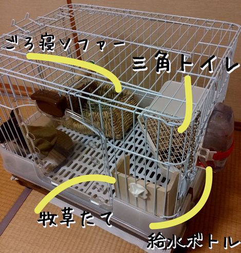f:id:grapetown:20170409223618j:plain f:id:grapetown:20170409223618j:plain