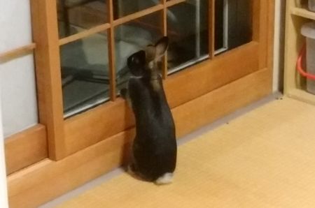 f:id:grapetown:20170611225548j:plain f:id:grapetown:20170611225548j:plain