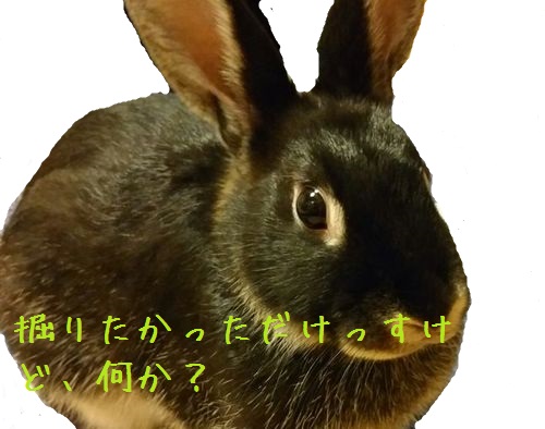 f:id:grapetown:20170710000530j:plain