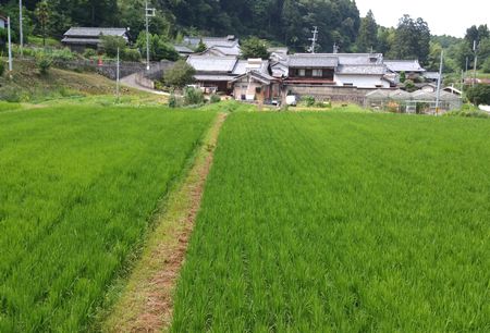 f:id:grapetown:20170729205036j:plain f:id:grapetown:20170729205036j:plain