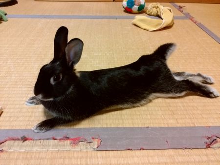 f:id:grapetown:20171015141227j:plain