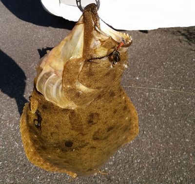 f:id:grapetown:20180104013714j:plain f:id:grapetown:20180104013714j:plain