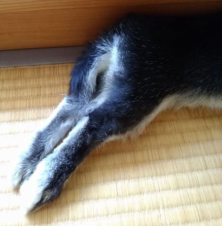f:id:grapetown:20180107214616j:plain