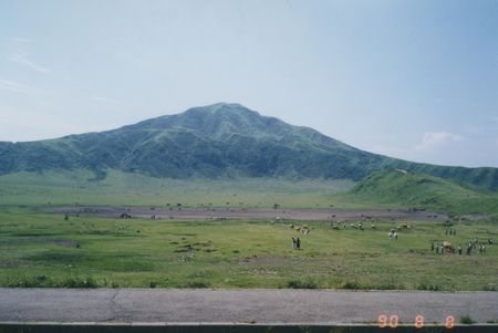 f:id:grapetown:20180128225309j:plain