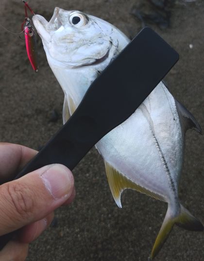 f:id:grapetown:20180225122639j:plain f:id:grapetown:20180225122639j:plain