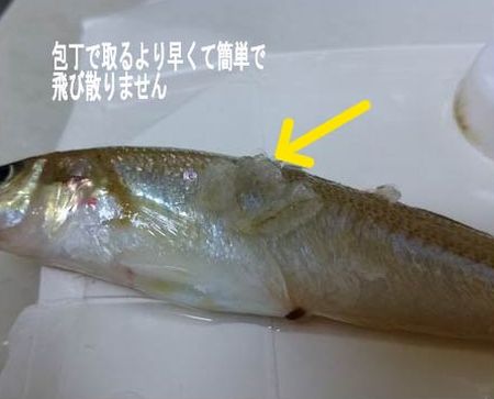 f:id:grapetown:20180603230317j:plain