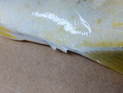 f:id:grapetown:20180922174053j:plain