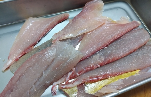 釣ったメッキさん 美味しく食べるためにいろいろと フライ 骨せんべいと酢シメ 編 ひつじのライトゲーム釣り日記 他 釣ったメッキさん 美味しく食べるためにいろいろと フライ 骨せんべいと酢シメ 編 ひつじのライトゲーム釣り日記 他