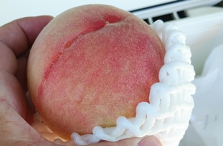f:id:grapetown:20200814120505j:plain