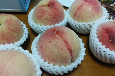 f:id:grapetown:20200814120947j:plain