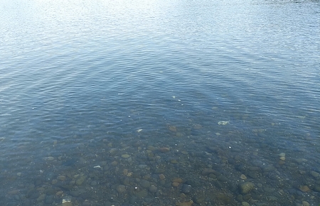 f:id:grapetown:20200921122656j:plain