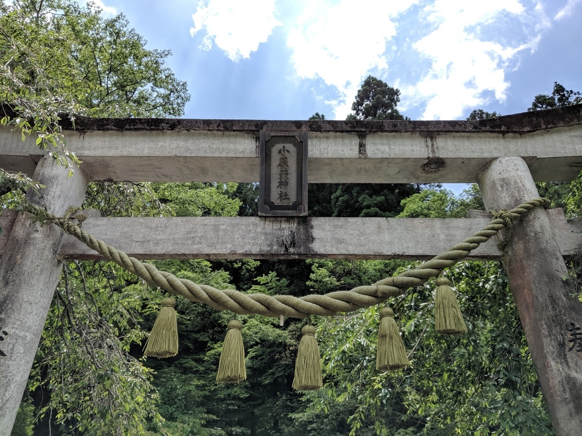 f:id:graphes:20190619172939j:plain f:id:graphes:20190619172939j:plain