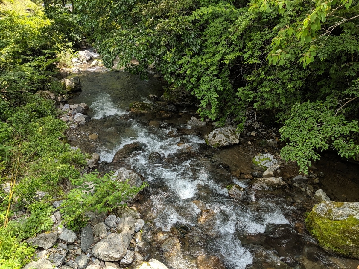 f:id:graphes:20190619173013j:plain f:id:graphes:20190619173013j:plain