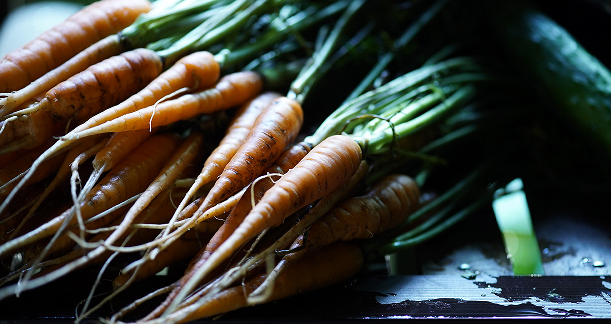 f:id:graphishio:20210223200615j:plain