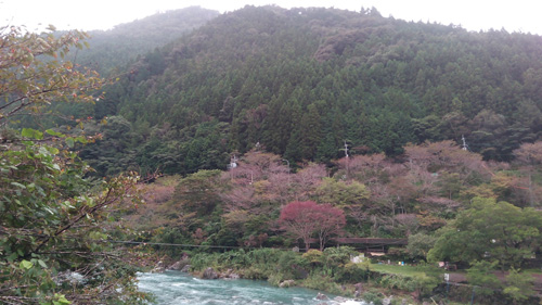 f:id:graphison-d:20161003220731j:image f:id:graphison-d:20161003220731j:image