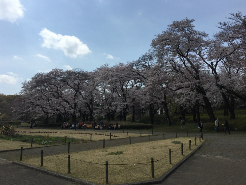 f:id:grappatei:20170406231216j:plain