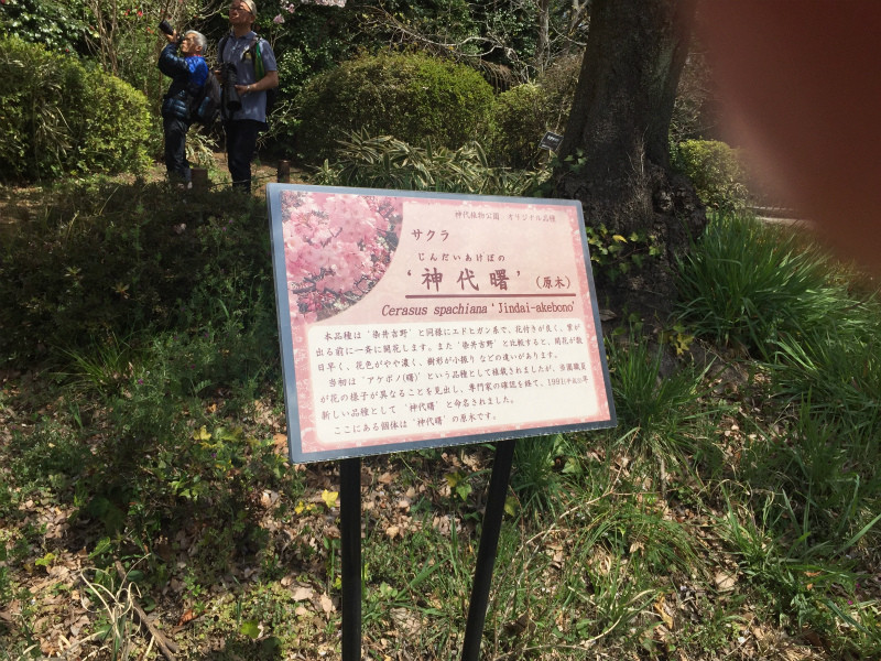 f:id:grappatei:20170406231315j:plain