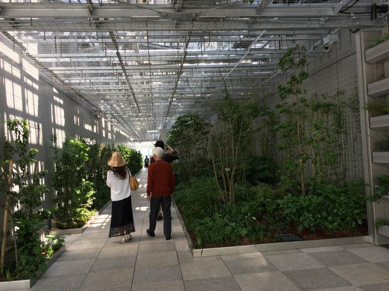 f:id:grappatei:20170512162139j:plain f:id:grappatei:20170512162139j:plain