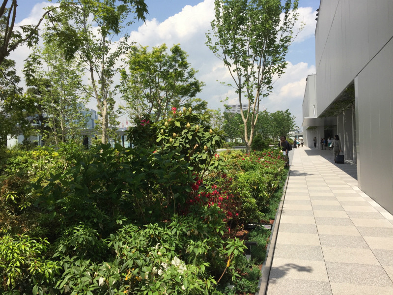 f:id:grappatei:20170512162335j:plain f:id:grappatei:20170512162335j:plain