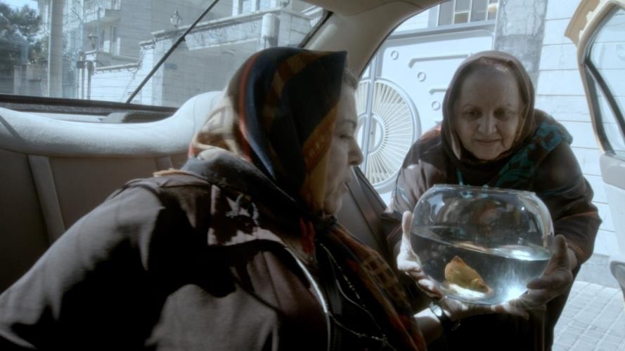 f:id:grappatei:20170617093516j:plain f:id:grappatei:20170617093516j:plain