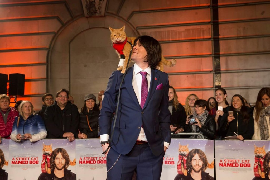 f:id:grappatei:20170926202853j:plain f:id:grappatei:20170926202853j:plain