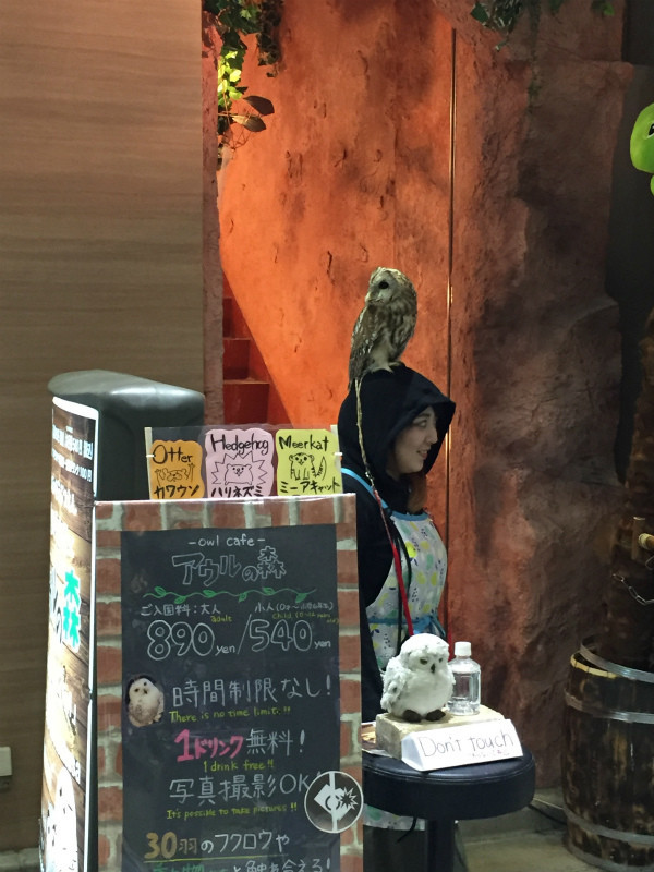 f:id:grappatei:20171015163623j:plain f:id:grappatei:20171015163623j:plain